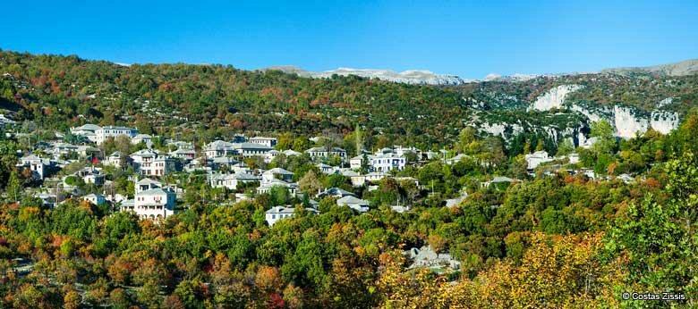 Monodendri