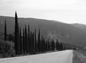 003.jpg:03. Delphi: Guard