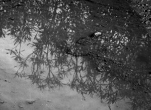 005.jpg:05. Delphi: Reflections